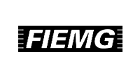 fiemg